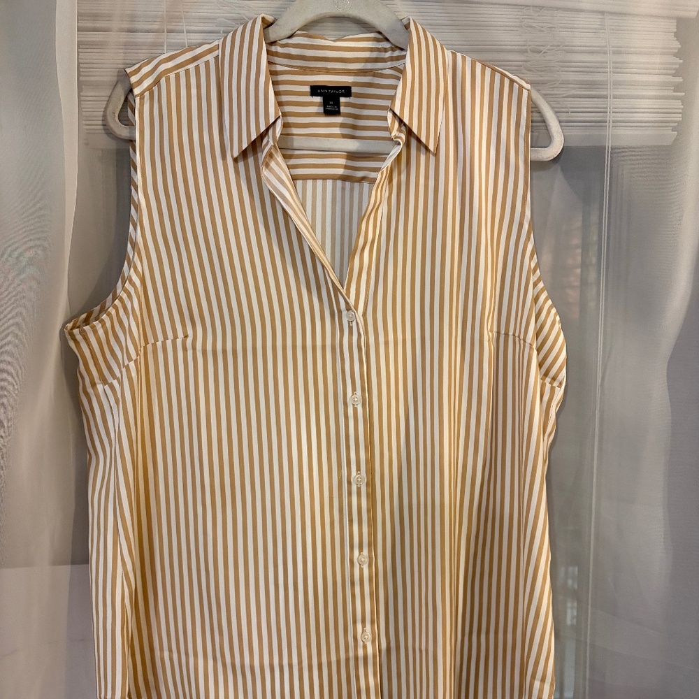Ann Taylor striped tank blouse
